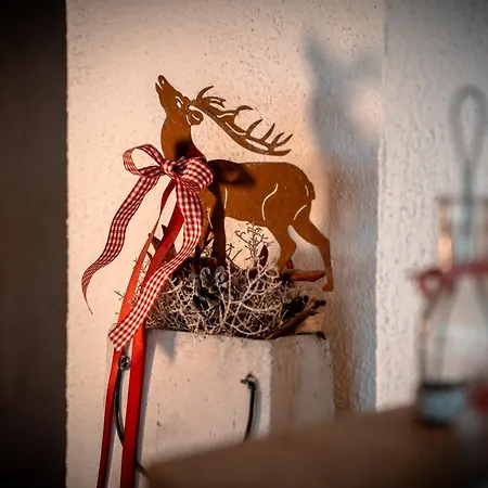 Apartman Grossvenedigerblick Neukirchen am Großvenediger